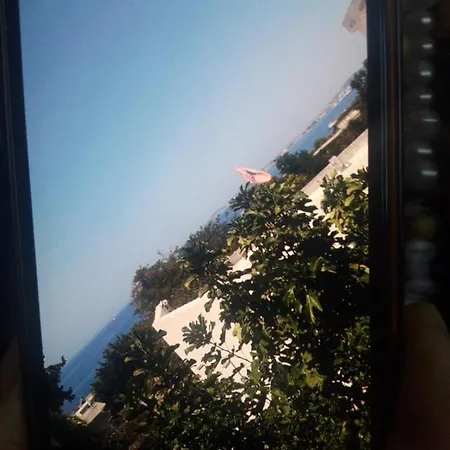 Dhoma Plazhi